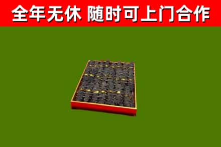 伊春烟酒回收海参.jpg